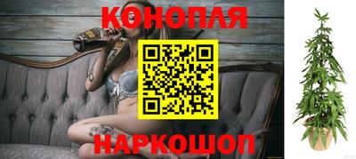 сатива Кунгур