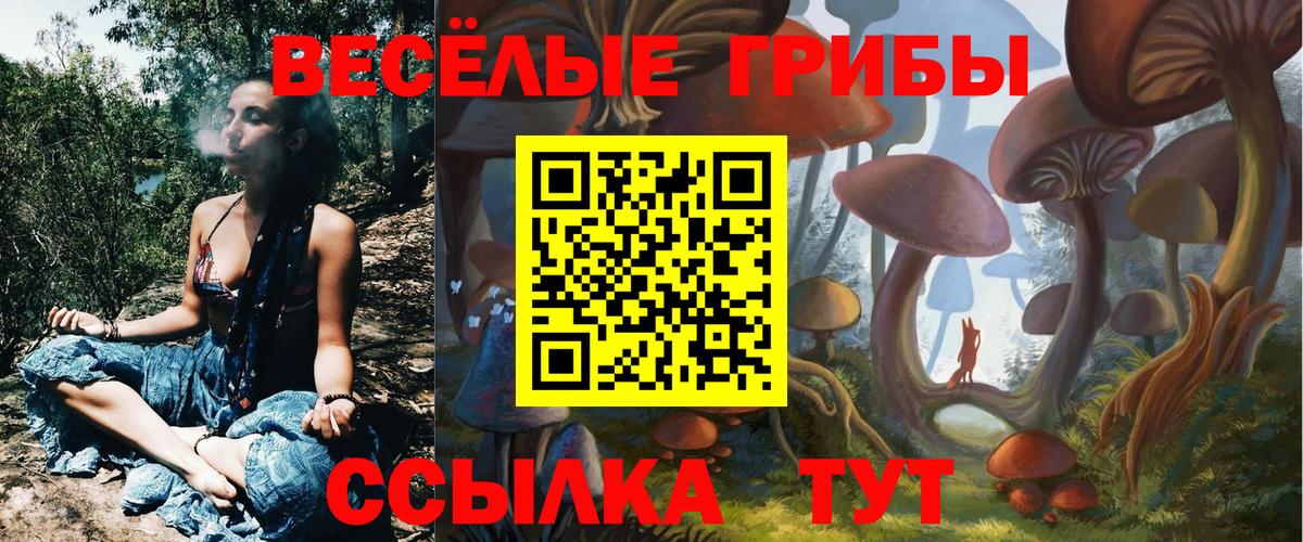 Галлюциногенные грибы Psilocybe Донской